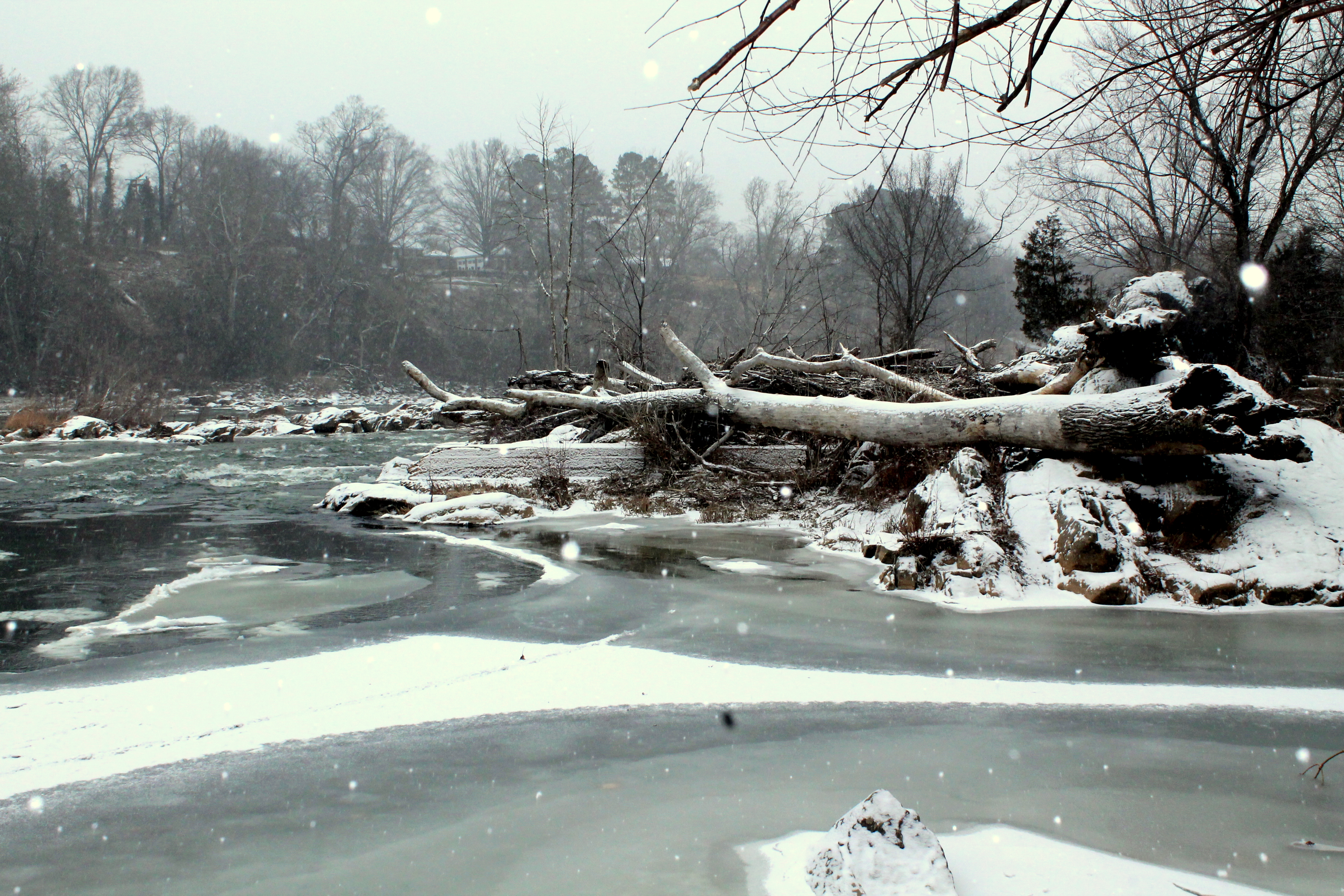 First Snow in Virginia