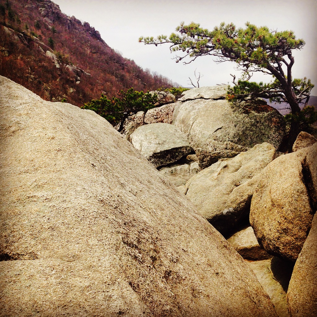 Hiking the Appalachian Trail