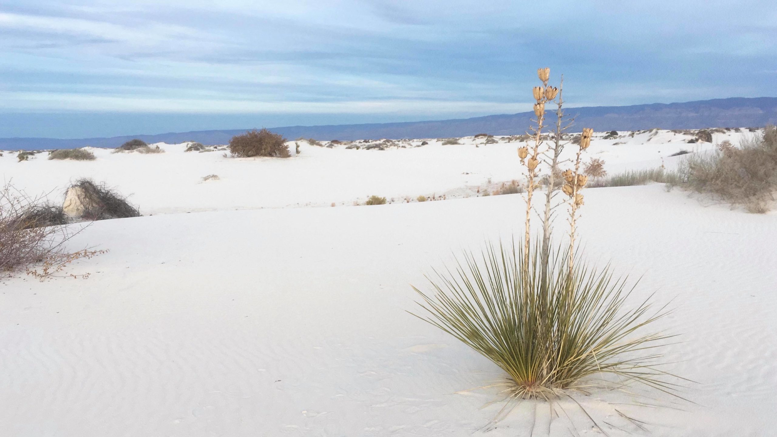 Uncover the US: Southern New Mexico